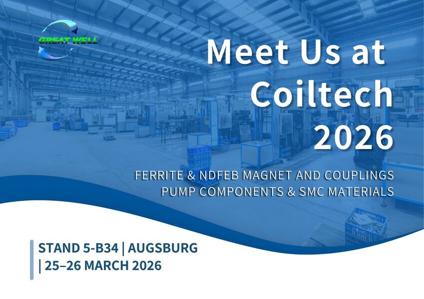 Assemblea magnetica permanente su ordinazione