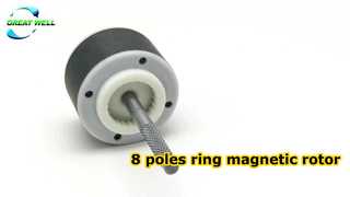 Rotore magnetico ad anello a 8 poli
