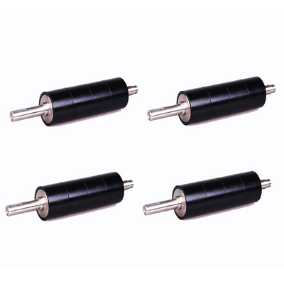 comprare Assemblaggio magnetico permanente con rivestimento industriale in nichel per motori ad alte rotazioni online manufacture