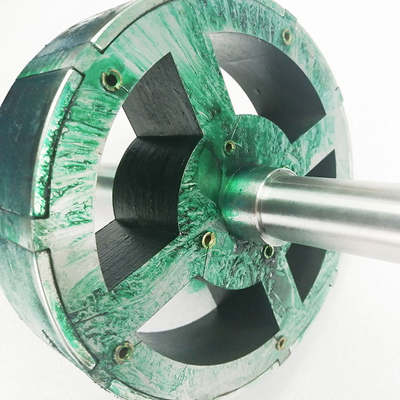 Rotore e statore magnetici del neodimio N50