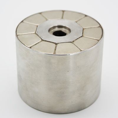qualità I magneti industriali su ordinazione di Multipoles innestano, Assemblea magnetica di NiCuNi 50d Ndfeb fabbrica