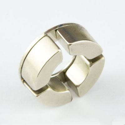 Anello magnetico permanente del disco di rotore del magnete dell'Assemblea del neodimio