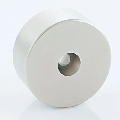 Neodymium Permanent Magnets 80.C-250.C Ring Customized Magnet Shape
